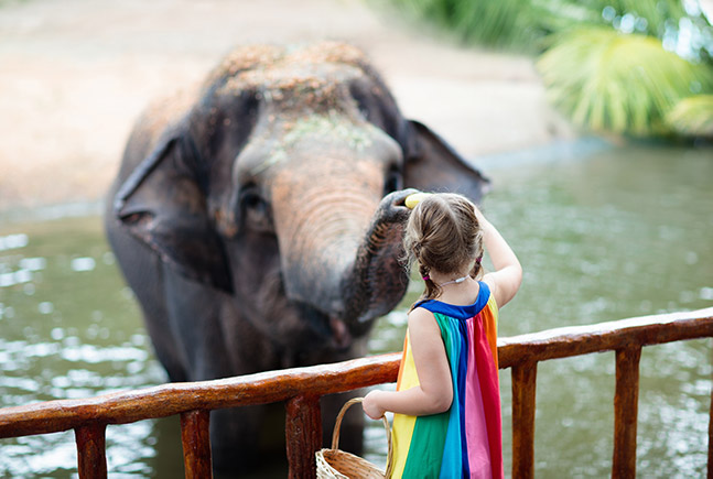 Leukste dierentuinen in Duitsland